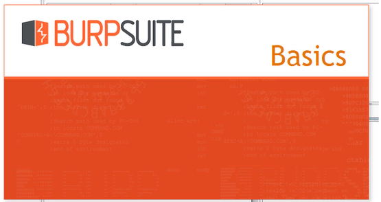 Burp Suite e Certificado no browser