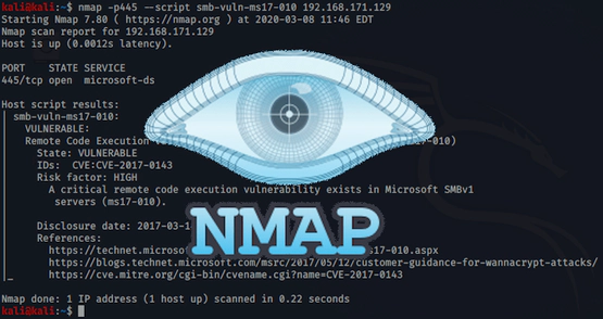 Utilizando Nmap Scripting Engine (NSE)