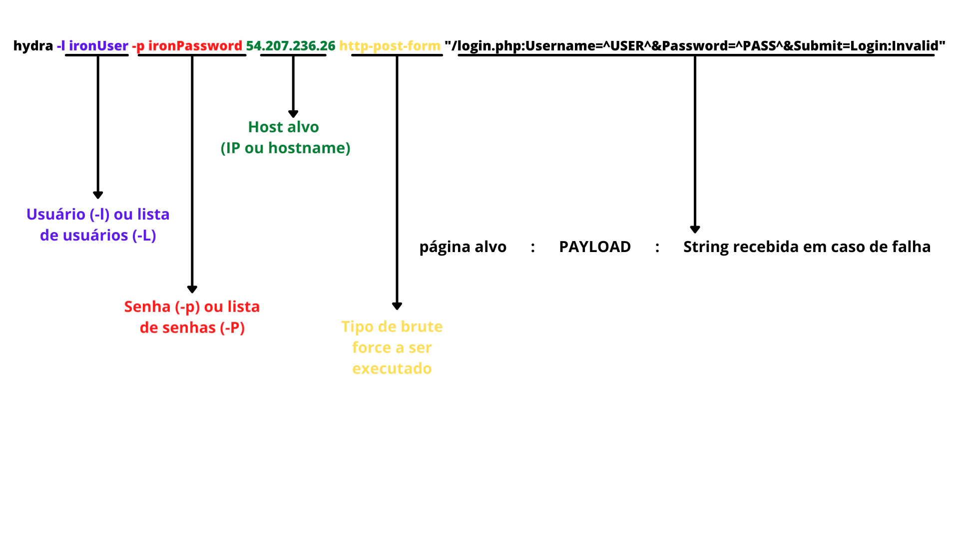 HTTP brute force com thc-hydra