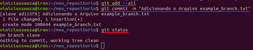 realizando git commit