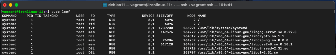 O comando LSOF no Linux