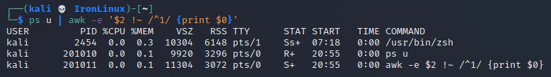 Regex com AWK - exemplo 2