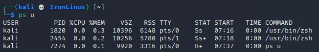 Output do comando ps