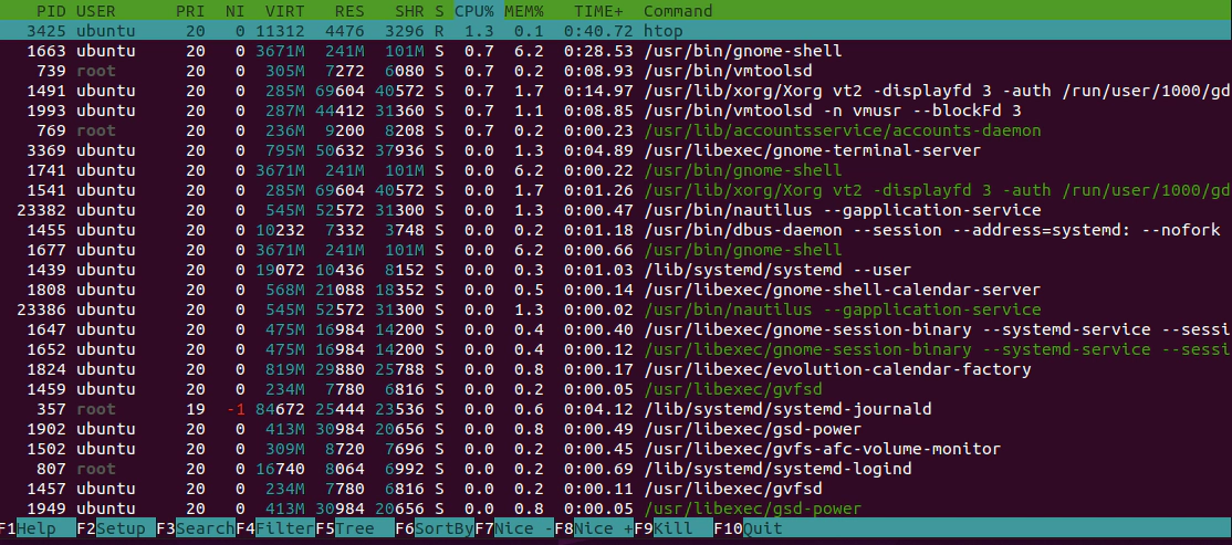 Explicando bloco inferior do htop