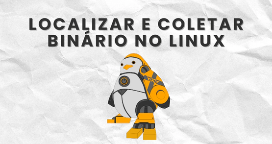 Localizar e coletar binários no Linux