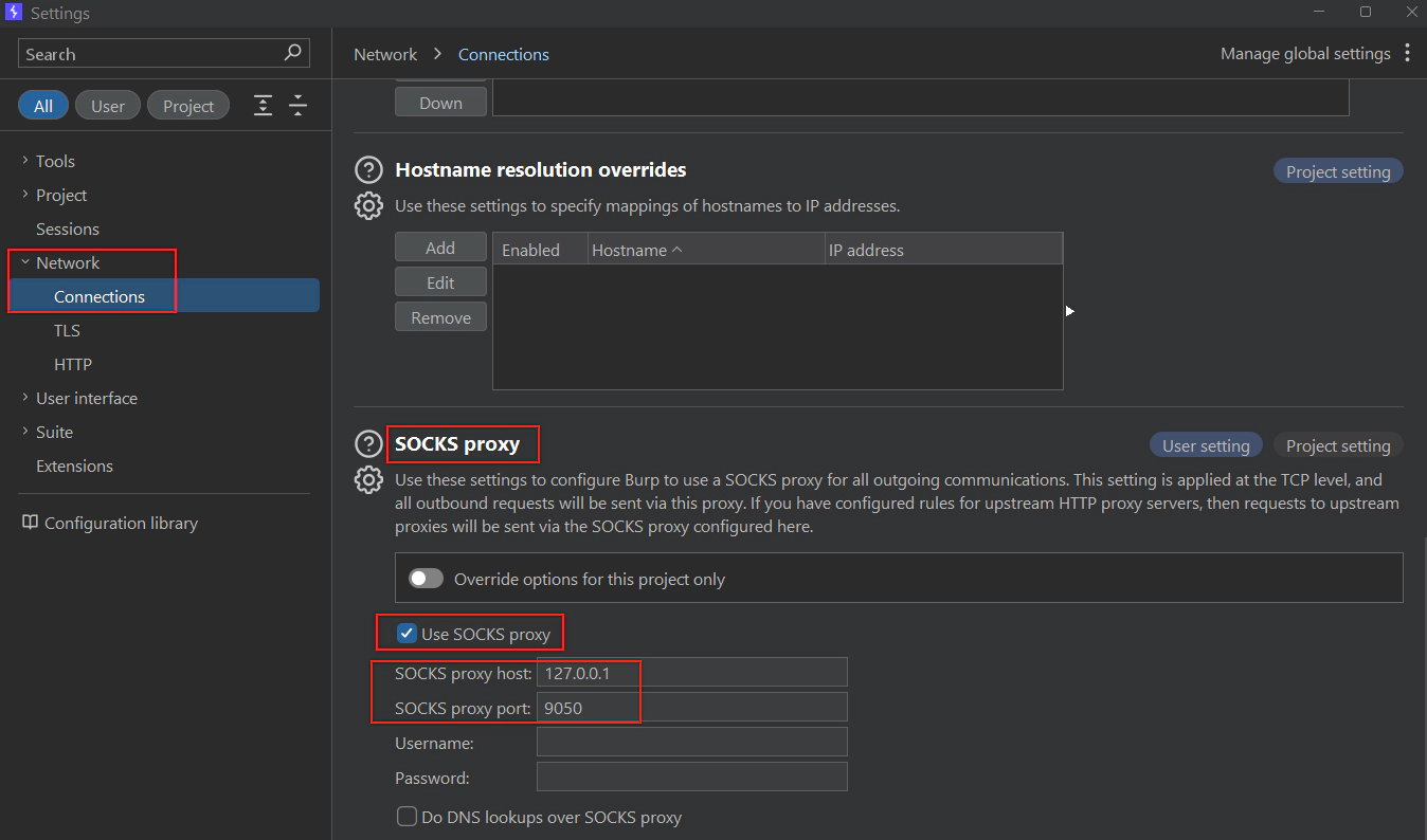 Configurando SOCKS Proxy no Burp