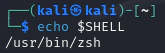 echo shell linux