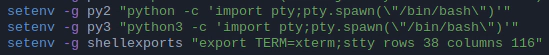 Command strings being stored as environment variables