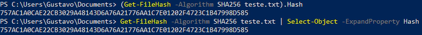 Hash SHA256 de um arquivo no terminal windows